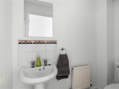 Picture 8